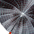 umbrella