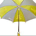 Children umbrella