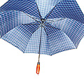 Gift umbrella